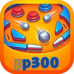 pp300